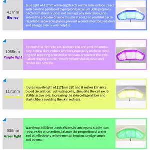 Light Therapy PDT Facial Whitening Face Spa Massage Device