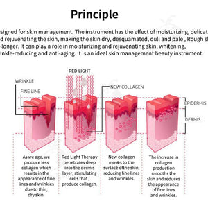 New 6 In 1 Facial Skin Whitening Rejuvenation Tightening Care 7 Colors Pdt Led Photon Light Therapy Machine for sale