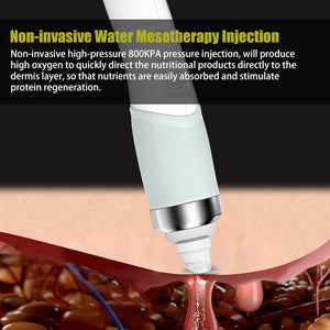 Black 6 in 1 Facial Management M6 Microdermabrasion dermabrasion Facial Machine