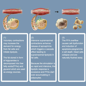Wholesale high Power Portable Ems Muscle Training Body Slim Hi-emti Machine Factory Price