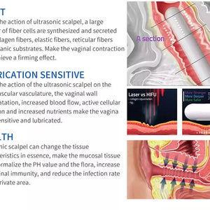 2 in 1 6D HIFU Body Face Lifting And Private Head Device