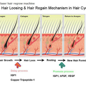 Laser pdt light therapy/anti-hair loss and skin rejuvenation machine